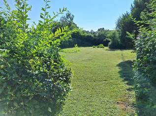 Einfamilienhaus mit grossem Grund, 550000 €, Immobilien-Häuser in 3133 Traismauer