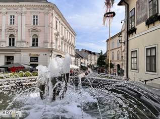 Top ausgestattetes Büro mit viel Platz, nahe dem Mödlinger Stadtzentrum, 1550000 €, Immobilien-Gewerbeobjekte in 2340 Gemeinde Mödling