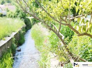 1,2 Hektar Grundstück für die Erholung/Selbstversorgung bei Bad Tatzmannsdorf, 130000 €, Immobilien-Grund und Boden in 7433 Gemeinde Mariasdorf