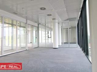 ein Wohlfühlbüro, hell, sonnig, lichtdurchflutet,, 9242.96 €, Immobilien-Gewerbeobjekte in Oberösterreich ein Wohlfühlbüro, hell, sonnig, lichtdurchflutet,, 9242.96 €, Immobilien-Gewerbeobjekte in Oberösterreich