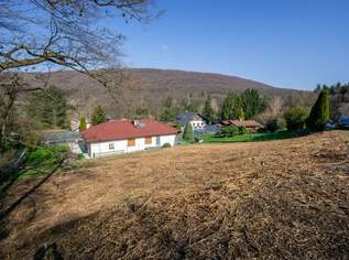 Baugrund am Ende der Sackgasse – Natur & perfekte Nähe zu Wien!, 199000 €, Immobilien-Grund und Boden in 3012 Gemeinde Wolfsgraben Baugrund am Ende der Sackgasse – Natur & perfekte Nähe zu Wien!, 199000 €, Immobilien-Grund und Boden in 3012 Gemeinde Wolfsgraben