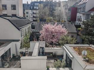 3-Zimmer mit Balkon und Terrasse beim Kutschkermarkt und AKH, 1450.25 €, Immobilien-Wohnungen in 1180 Währing 3-Zimmer mit Balkon und Terrasse beim Kutschkermarkt und AKH, 1450.25 €, Immobilien-Wohnungen in 1180 Währing