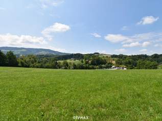 Wohnen im Grünen & doch stadtnah! 729 m² Baugrund mit traumhaftem Ausblick in ruhiger/grüner Lage!, 105000 €, Immobilien-Grund und Boden in 4431 Sträußl