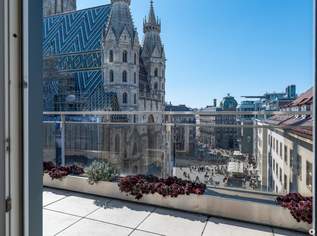 Einzigartiger Blick zum Stephansdom! Großzügige 3-Zimmer Terrassen-Penthousewohnung, 7580 €, Immobilien-Wohnungen in 1010 Innere Stadt