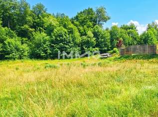 Baugrundstück 914m² in Steinakirchen am Forst – Ihr Traum vom Eigenheim wartet!, 70000 €, Immobilien-Grund und Boden in 3261 Gemeinde Steinakirchen am Forst