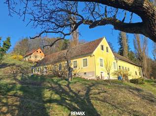 ALLEINLAGE: Sanierungsbedürftiger Vierkanthof mit ca. 17ha Land zu verkaufen, 461345 €, Immobilien-Gewerbeobjekte in 8280 Fürstenfeld