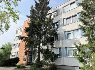 Sanierungsbedürftige 3-Zimmer-Wohnung in ruhiger Grünlage der Südstadt, 215000 €, Immobilien-Wohnungen in 2344 Gemeinde Maria Enzersdorf