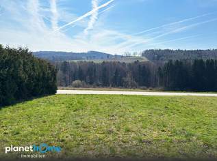 Grünlage mit Ausblick, 99000 €, Immobilien-Grund und Boden in 3062 Katastralgemeinde Kirchstetten