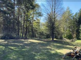 Bauland direkt am Wald, wenn man Ruhe und gute Luft mag (kein Bauzwang, aufgeschlossen, privat)