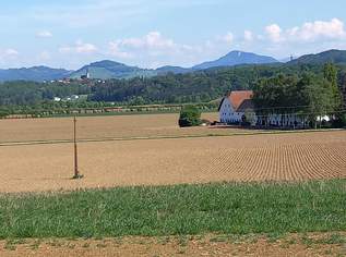 Aussichts-Hang-Baugrundstück aufgeschlossen, OHNE Bauzwang und OHNE Bebauungsplan!, 240367 €, Immobilien-Grund und Boden in 4522 Sierning