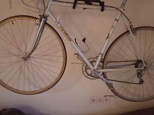 BERARDI VINTAGE RENNRAD RH 54 cm, ORIGINAL TOTAL, 999 €, Auto & Fahrrad-Fahrräder in 4063 Hörsching