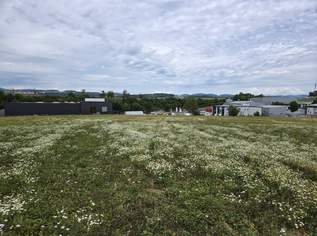 Betriebsbaugrund Engerwitzdorf, 2141040 €, Immobilien-Gewerbeobjekte in 4209 Engerwitzdorf Betriebsbaugrund Engerwitzdorf, 2141040 €, Immobilien-Gewerbeobjekte in 4209 Engerwitzdorf