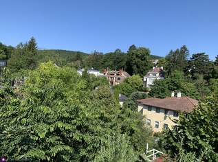 Rarität- Hübsches Einfamilienhaus mit idyllischem Garten in beneidenswerter Grünruhelage!, 1650000 €, Immobilien-Häuser in 1170 Hernals