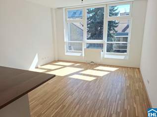 Industriekultur neu gedacht, 395000 €, Immobilien-Wohnungen in 1120 Meidling