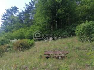 Jetzt investieren, später selbst nutzen - Vermietetes Landhaus in zentraler Lage von Gutenstein, 199000 €, Immobilien-Häuser in 2770 Gemeinde Gutenstein Jetzt investieren, später selbst nutzen - Vermietetes Landhaus in zentraler Lage von Gutenstein, 199000 €, Immobilien-Häuser in 2770 Gemeinde Gutenstein