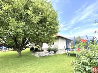 Bungalow auf großem, sonnigem Grund, 390000 €, Immobilien-Häuser in 3430 Mollersdorf Bungalow auf großem, sonnigem Grund, 390000 €, Immobilien-Häuser in 3430 Mollersdorf