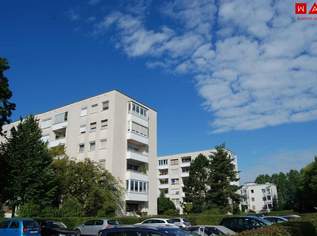 Gut geschnittene 2-Zimmer-Wohnung mit dem Vorteil einer praktische Raumaufteilung und bequemer Erreichbarkeit durch einen Lift! AKTUELL IN SANIERUNG FOTOS FOLGEN!, 524.3 €, Immobilien-Wohnungen in Oberösterreich Gut geschnittene 2-Zimmer-Wohnung mit dem Vorteil einer praktische Raumaufteilung und bequemer Erreichbarkeit durch einen Lift! AKTUELL IN SANIERUNG FOTOS FOLGEN!, 524.3 €, Immobilien-Wohnungen in Oberösterreich