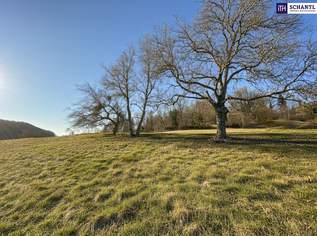 7 Parzellen verfügbar - Tolles Baugrundstück am Sonnenhang in Prenning bei Deutschfeistritz – 3.700 m², aufteilbar in 7 Parzellen, 68000 €, Immobilien-Grund und Boden in 8121 Prenning
