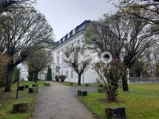 KFZ -Abstellplatz Schloss Traunegg P028, 37.5 €, Immobilien-Kleinobjekte & WGs in 4600 Thalheim bei Wels KFZ -Abstellplatz Schloss Traunegg P028, 37.5 €, Immobilien-Kleinobjekte & WGs in 4600 Thalheim bei Wels