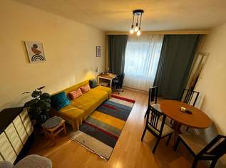 Student*innen 40 m² Wohnung in 11110 Wien / Grenze 1030 Wien (Wohn/Schlafzimmer, Küche, Bad, Vorzimmer, Klo)