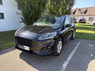 Kuga 1,5 EcoBlue ST-Line Aut., 17990 €, Auto & Fahrrad-Autos in 8435 Wagna Kuga 1,5 EcoBlue ST-Line Aut., 17990 €, Auto & Fahrrad-Autos in 8435 Wagna