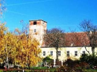 Reitgut Schloß Niederabsdorf, 1982000 €, Immobilien-Gewerbeobjekte in 2272 Gemeinde Ringelsdorf-Niederabsdorf Reitgut Schloß Niederabsdorf, 1982000 €, Immobilien-Gewerbeobjekte in 2272 Gemeinde Ringelsdorf-Niederabsdorf