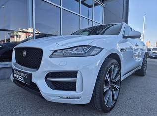 F-Pace 20d AWD R-Sport Aut., 24990 €, Auto & Fahrrad-Autos in 7501 Rotenturm an der Pinka F-Pace 20d AWD R-Sport Aut., 24990 €, Auto & Fahrrad-Autos in 7501 Rotenturm an der Pinka