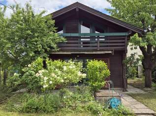Sommerhaus mit schönem Garten am Schloss-See, 841.68 €, Immobilien-Häuser in 1230 Liesing Sommerhaus mit schönem Garten am Schloss-See, 841.68 €, Immobilien-Häuser in 1230 Liesing