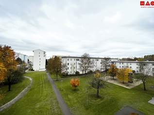 Linz-Oed: Dank vieler großer Fenster lichtdurchflutete 3-Zimmer-Wohnung mit Balkon & Autoabstellplatz in städtischer ruhiger Grünlage, 259000 €, Immobilien-Wohnungen in Oberösterreich Linz-Oed: Dank vieler großer Fenster lichtdurchflutete 3-Zimmer-Wohnung mit Balkon & Autoabstellplatz in städtischer ruhiger Grünlage, 259000 €, Immobilien-Wohnungen in Oberösterreich