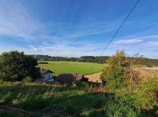Hanggrundstück in ruhiger Lage, 0 €, Immobilien-Grund und Boden in 5233 Pischelsdorf am Engelbach Hanggrundstück in ruhiger Lage, 0 €, Immobilien-Grund und Boden in 5233 Pischelsdorf am Engelbach