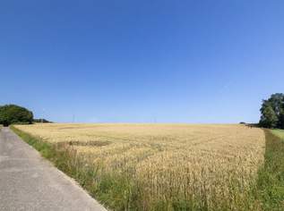 Landwirtschaftliche Fläche - Acker, 700000 €, Immobilien-Grund und Boden in 4880 Walsberg