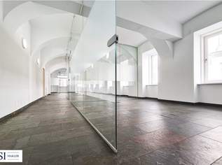 Top gepflegte Büro-/Praxisräume in 1020 Wien – 7 Zimmer, U-Bahn-Nähe, 699000 €, Immobilien-Gewerbeobjekte in 1020 Leopoldstadt