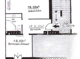 45m² m Wohnung, Terrasse, Erholungsgebiet Alte Donau, für nur eine Person