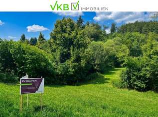 Naturverbunden wohnen – Baugrundstück mit Lebensqualität in Eidenberg, 125000 €, Immobilien-Grund und Boden in 4201 Eidenberg Naturverbunden wohnen – Baugrundstück mit Lebensqualität in Eidenberg, 125000 €, Immobilien-Grund und Boden in 4201 Eidenberg