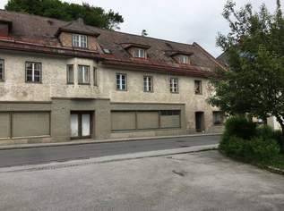 Großzügiges Haus mit Geschäftsfläche und Garten