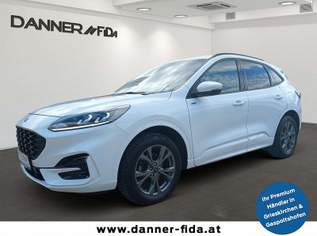 Kuga 120PS Diesel/Schaltgetriebe 2,0 TDCi ST-Line (S..., 23980 €, Auto & Fahrrad-Autos in 4707 Schlüßlberg