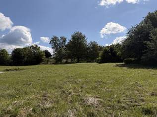Baugrundstück in Zentrumsnähe, 94500 €, Immobilien-Grund und Boden in 4150 Berg bei Rohrbach Baugrundstück in Zentrumsnähe, 94500 €, Immobilien-Grund und Boden in 4150 Berg bei Rohrbach