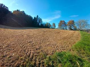 Bauträger aufgepasst: Großes Grundstück für Ihr Bauvorhaben!, 149000 €, Immobilien-Grund und Boden in 8083 Sankt Stefan im Rosental Bauträger aufgepasst: Großes Grundstück für Ihr Bauvorhaben!, 149000 €, Immobilien-Grund und Boden in 8083 Sankt Stefan im Rosental