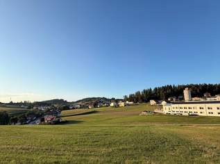 Attraktive Grundstücke mit Potential in Zentrumsnähe!, 562640 €, Immobilien-Grund und Boden in 4150 Rohrbach-Berg Attraktive Grundstücke mit Potential in Zentrumsnähe!, 562640 €, Immobilien-Grund und Boden in 4150 Rohrbach-Berg