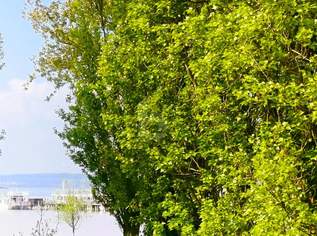 EINMALIGE LAGE AM NEUSIEDLERSEE MIT BESTEHENDEM HAUS, 900000 €, Immobilien-Häuser in 7141 Podersdorf am See