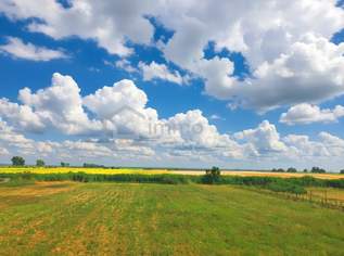 Ertragreiche landwirtschaftliche Nutzfläche, 140000 €, Immobilien-Grund und Boden in 2422 Pama