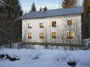 Einzigartiger Rückzugsort in gegenwärtiger Alleinlage, 350000 €, Immobilien-Grund und Boden in 8862 Stadl an der Mur Einzigartiger Rückzugsort in gegenwärtiger Alleinlage, 350000 €, Immobilien-Grund und Boden in 8862 Stadl an der Mur