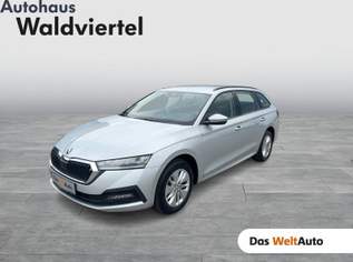 OCTAVIA Combi 4x4 Ambition TDI DSG, 23990 €, Auto & Fahrrad-Autos in 3580 Gemeinde Horn OCTAVIA Combi 4x4 Ambition TDI DSG, 23990 €, Auto & Fahrrad-Autos in 3580 Gemeinde Horn