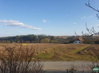 Wohnen im Grünen - Zwei Baugrundstücke in Pfösing, 450000 €, Immobilien-Grund und Boden in 2122 Pfösing