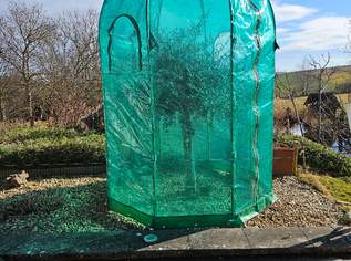 Frostschutzzelt für große Pflanzen, 179 €, Haus, Bau, Garten-Balkon & Garten in 2013 Göllersdorf