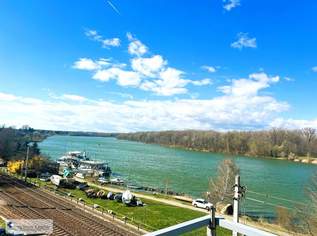 Stilvolles Familienhaus mit ausgezeichnetem Ausblick auf die Donau, 588000 €, Immobilien-Häuser in 3422 Greifenstein