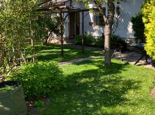 Schönes Grundstück mit älterem Haus in Gumpoldskirchen, 435000 €, Immobilien-Häuser in 2352 Gemeinde Gumpoldskirchen