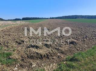 Landwirtschaftliche Ackerfläche 1,98 ha in Waldviertel - Raum Zwettl, 0 €, Immobilien-Grund und Boden in 3910 Ratschenhof