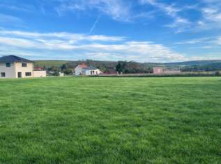 Baugrundstücke in Niederkreuzstetten in traumhafter Lage im Herzen des Weinviertels, 195 €, Immobilien-Grund und Boden in 4124 Niederkreuzstetten Baugrundstücke in Niederkreuzstetten in traumhafter Lage im Herzen des Weinviertels, 195 €, Immobilien-Grund und Boden in 4124 Niederkreuzstetten