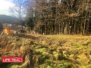 Am Wald grenzendes Baugrundstück, 99000 €, Immobilien-Grund und Boden in 4843 Ampflwang im Hausruckwald Am Wald grenzendes Baugrundstück, 99000 €, Immobilien-Grund und Boden in 4843 Ampflwang im Hausruckwald